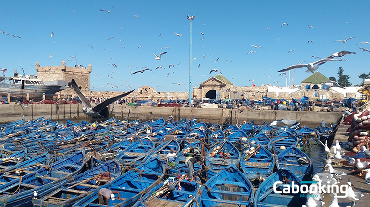 le port d'essaouira